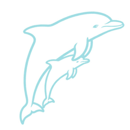 cropped-favicon-dolfijntjes.jpg